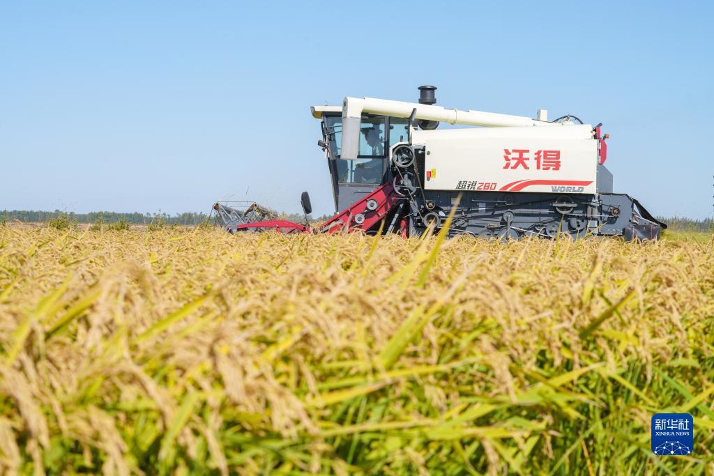 集结号加微信送福利